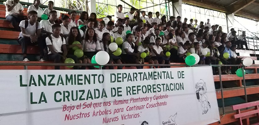 REFORESTA2